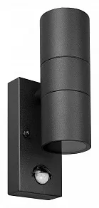Светильник на штанге Arte Lamp Mistero A3322AL-2BK