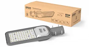 Консольный светильник Gauss  629534480