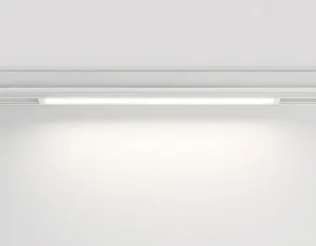 Накладной светильник Ambrella Light GL GL1665