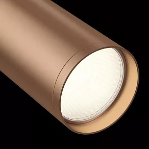 Светильник на штанге Maytoni Focus S TR020-1-GU10-WC