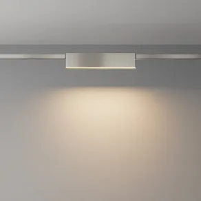 Накладной светильник Maytoni Basis TR151-1-18W3K-PT