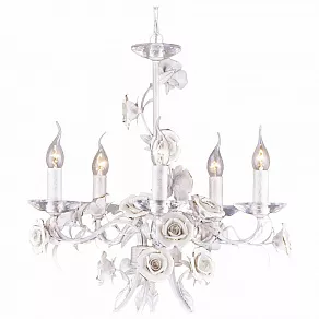 Подвесная люстра Arte Lamp Estimate A2036LM-5WG