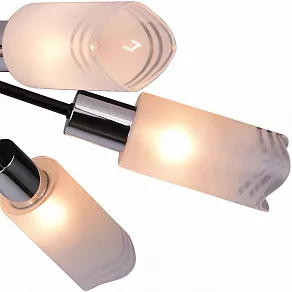 Потолочная люстра TopLight Sabina TL3680X-06BC