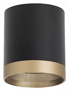 Накладной светильник Lightstar Rullo R348790