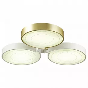 Накладной светильник Lumion Dilip 3646/60CL