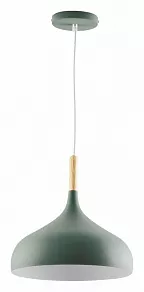 Подвесной светильник Moderli Eline V1296-1P