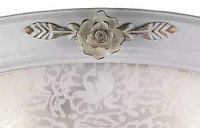 Накладной светильник Odeon Light Bone 2692/3C