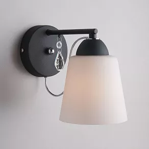 Бра Eurosvet Campana 70094/1 черный