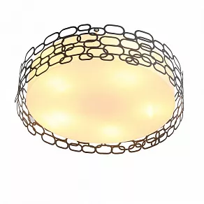 Накладной светильник ST-Luce Ciatura SL304.402.05