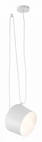 Подвесной светильник EVOLUCE Trieste SLE120653-01
