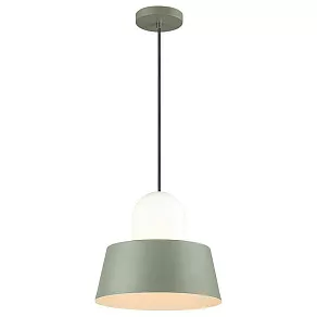 Подвесной светильник Odeon Light Alur 4142/1