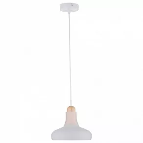 Подвесной светильник Maytoni Ola P016PL-01W