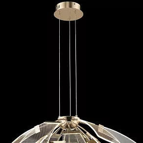 Подвесная люстра Wertmark Halla WE455.15.303