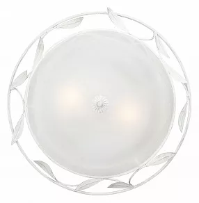 Накладной светильник Vitaluce V6862 V6862-0/2A