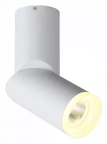 Светильник на штанге ST-Luce Tortelle ST107.502.10