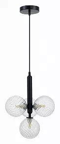 Подвесная люстра EVOLUCE Salerno SLE220343-04