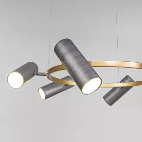 Подвесная люстра Eurosvet Spacer 90103/6 матовый серый/золото
