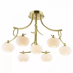 Потолочная люстра Odeon Light Rondo 1812/7C