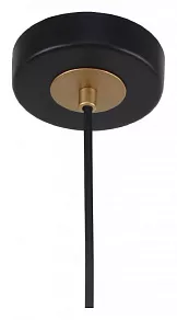 Подвесной светильник F-promo Rigor 2844-1P