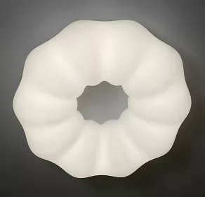 Накладной светильник Zortes SOFT ZRS.1118.4