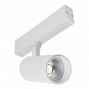 Светильник на штанге ST-Luce SKYLINE 220 ST660.536.10H