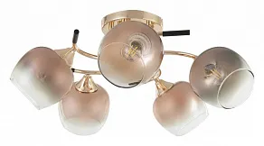 Потолочная люстра Arte Milano AMALFI-324985 324985/5 FG+BK