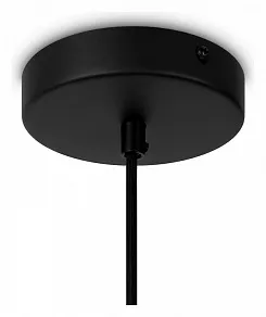 Подвесной светильник Maytoni Roots MOD195PL-01W1