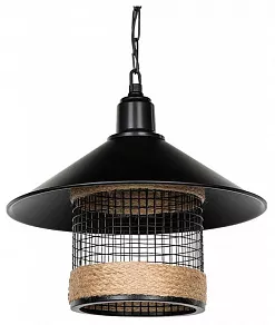Подвесной светильник TopLight Bryana TL1644H-01BK
