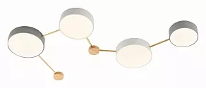Накладной светильник EVOLUCE Dossena SLE600102-04