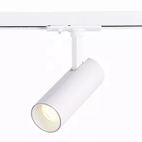 Светильник на штанге ST-Luce Mono ST350.546.10.24
