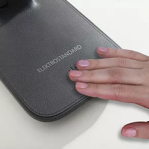 Настольная лампа офисная Elektrostandard Pele a044006