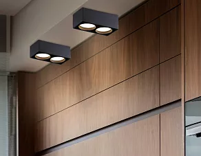 Накладной светильник Ambrella Light TN TN70875