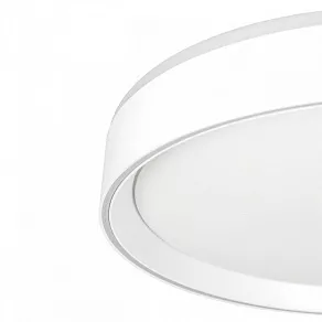 Накладной светильник Citilux BOSS CL751350G