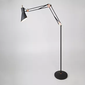 Торшер Eurosvet Norden 01033/1 черный