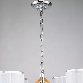 Подвесная люстра Favourite Stine 2705-6P