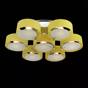 Потолочная люстра EVOLUCE Foresta SL483.092.07