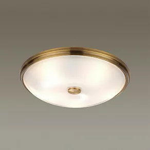 Накладной светильник Odeon Light Pelow 4956/5