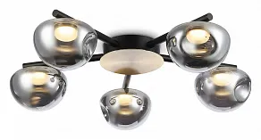 Потолочная люстра Ambrella Light LH LH12009