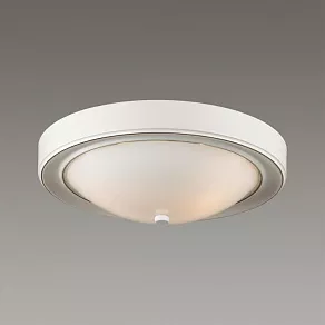 Накладной светильник Lumion Nina 5279/2C