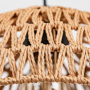 Подвесной светильник Arte Lamp BRUSHWOOD A7086SP-1BK