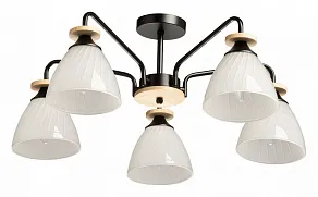 Люстра на штанге De City Дэла 15 635018105