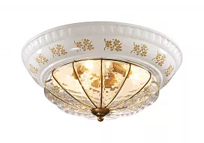 Накладной светильник Odeon Light Asula 2278/3A