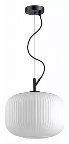 Подвесной светильник Odeon Light Roofi 4754/1