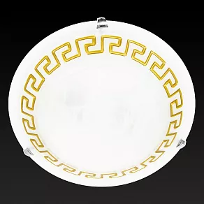 Накладной светильник TopLight Gien TL9172Y-03BN