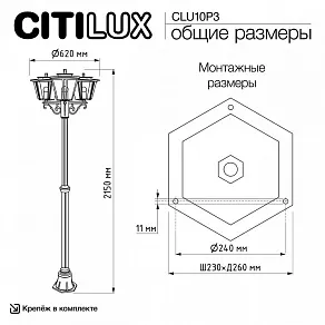Фонарный столб Citilux FORTS CLU10P3