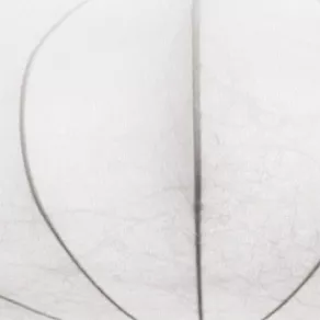 Настольная лампа декоративная Eglo Sedilo 91515