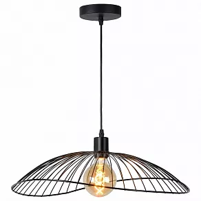 Подвесной светильник TopLight Agnes TL1196H-01BK