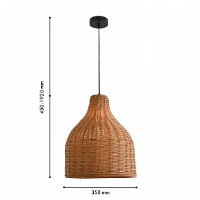 Подвесной светильник Favourite Elmo 4880-1P