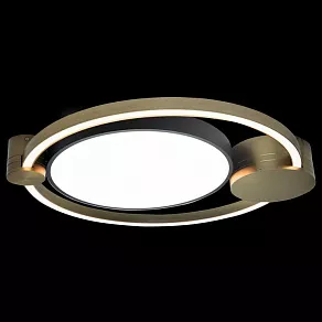 Накладной светильник Loft it Gerdis 10049
