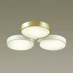 Накладной светильник Lumion Dilip 3646/60CL